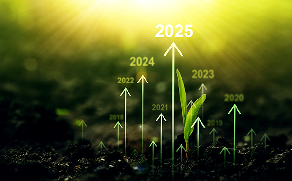 Green plant growth with ascending arrows labeled 2020-2025, symbolizing sustainable progress and future development.