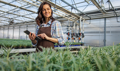 5 Steps to Prepare for Automation