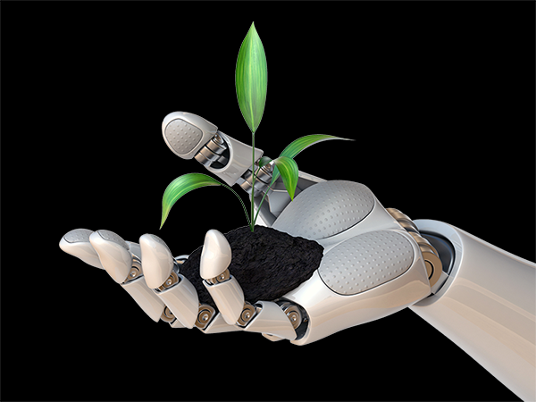 The Environmental Benefits of Accounts Payable Automation.