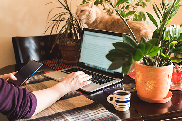 Person working at home with laptop, smartphone, coffee, and plants, while a cat explores the table. Cozy workspace setup.