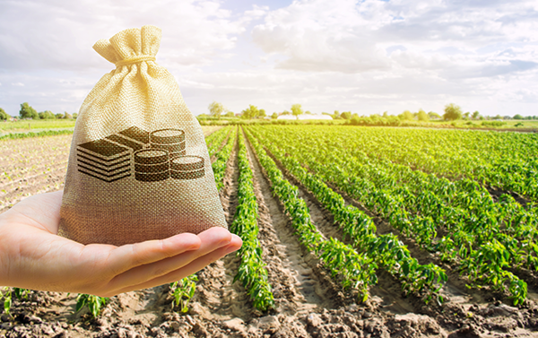 Hand holding money bag in farm field, symbolizing agricultural financing and investment.